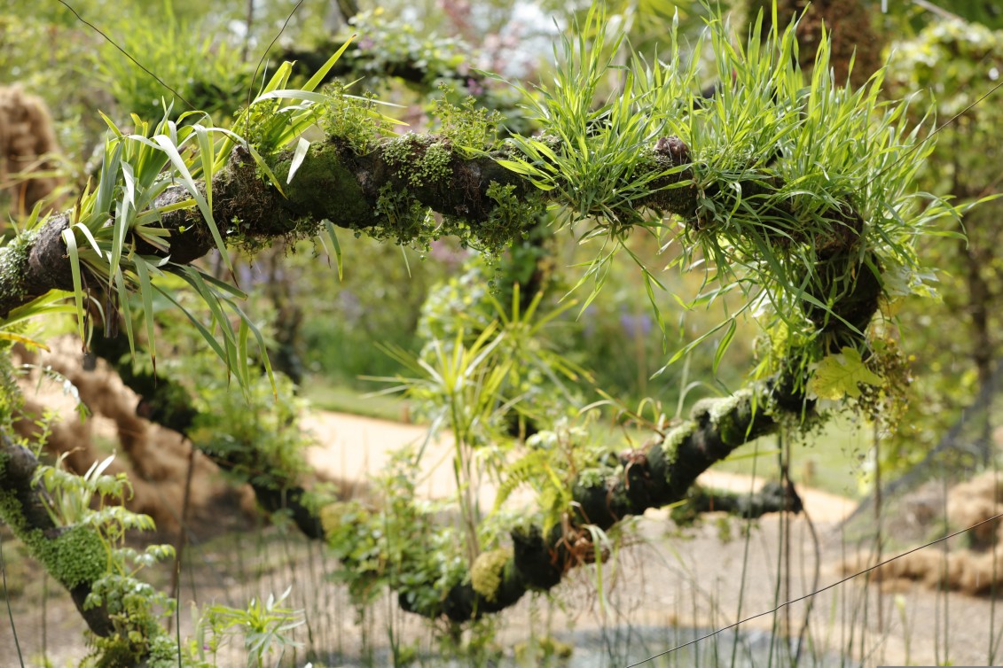 FESTIVAL DES JARDINS 2016- PHOTO: ERIC SANDER POUR LE DOMAINE DE CHAUMONT/LOIRE